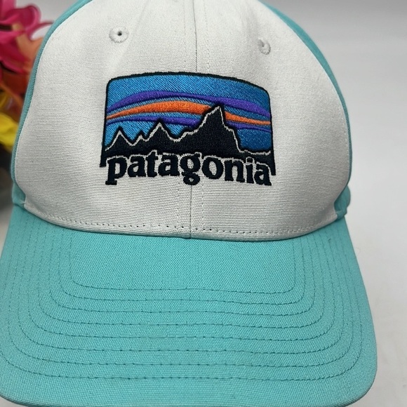 Patagonia Teal Trucker Hat Adjustable. HT4351C - Picture 2 of 9